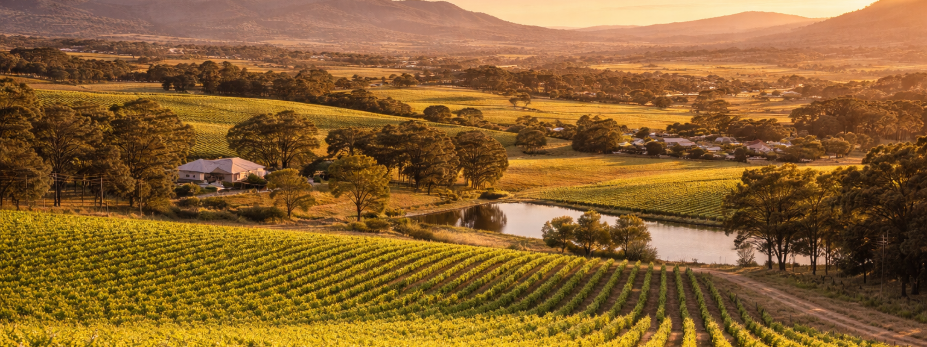 Celebrate Orange & Mudgee Wine Regions